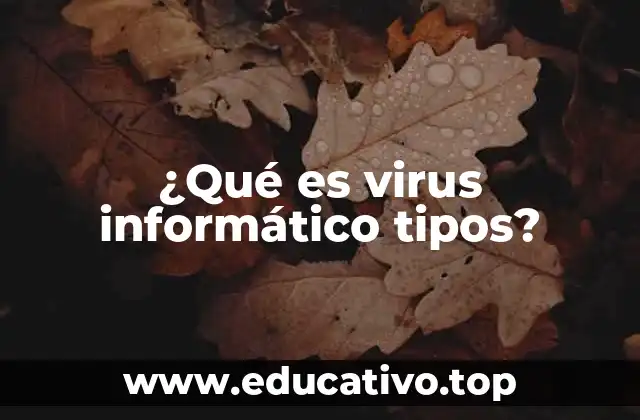 ¿Qué es virus informático tipos?