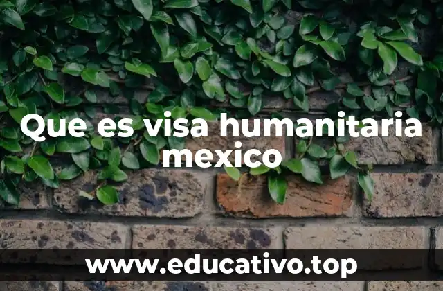 Que es visa humanitaria mexico
