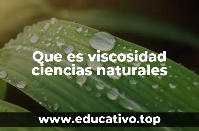 Que es viscosidad ciencias naturales