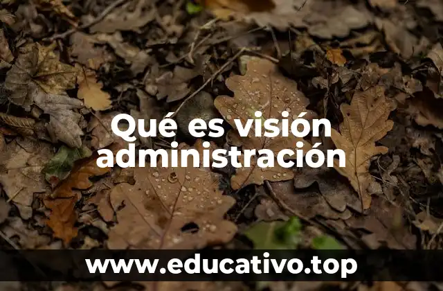 Qué es visión administración