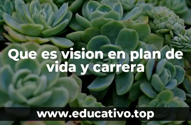 Que es vision en plan de vida y carrera