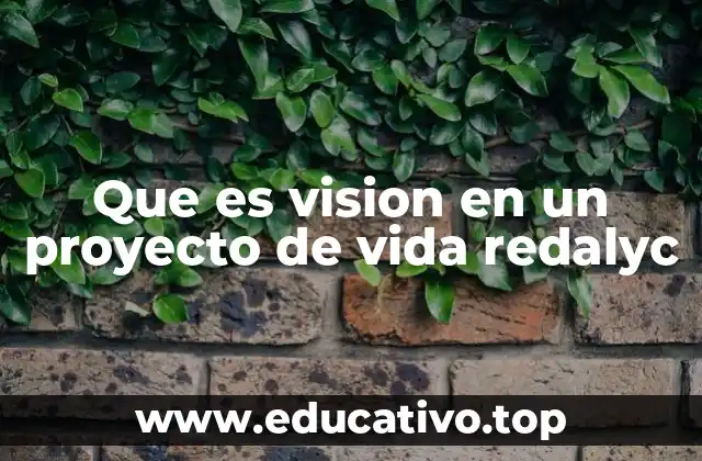 Que es vision en un proyecto de vida redalyc
