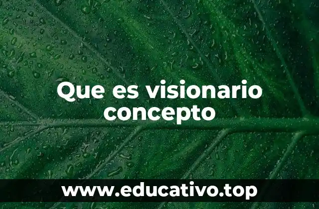 Que es visionario concepto