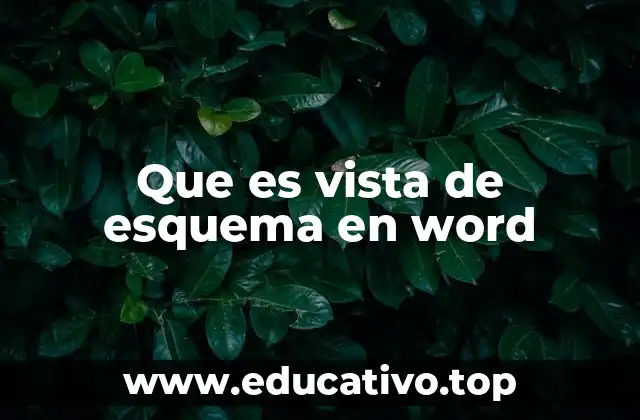 Que es vista de esquema en word