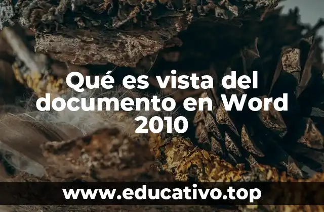 Qué es vista del documento en Word 2010