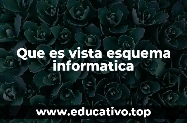 Que es vista esquema informatica