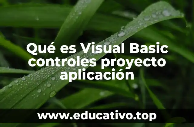 Qué es Visual Basic controles proyecto aplicación
