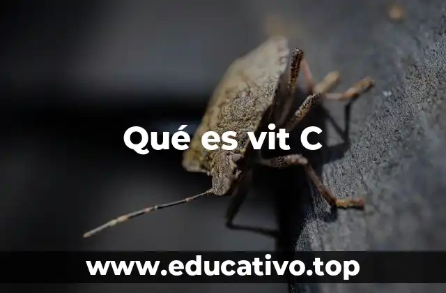 Qué es vit C