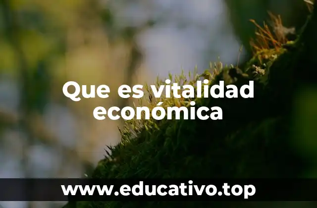 Que es vitalidad económica