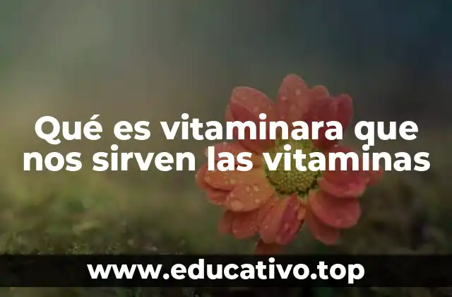 Qué es vitaminara que nos sirven las vitaminas