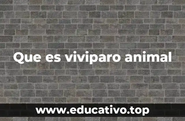 Que es viviparo animal