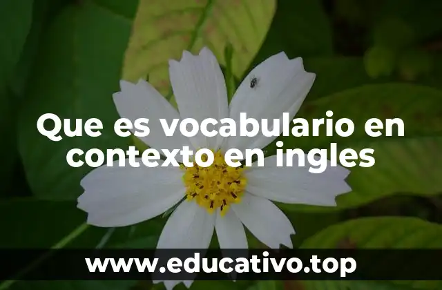 Que es vocabulario en contexto en ingles