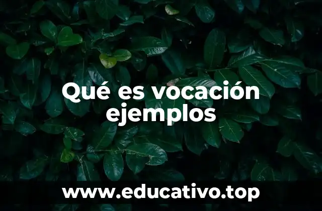 Qué es vocación ejemplos