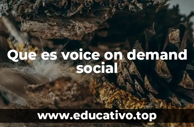 Que es voice on demand social