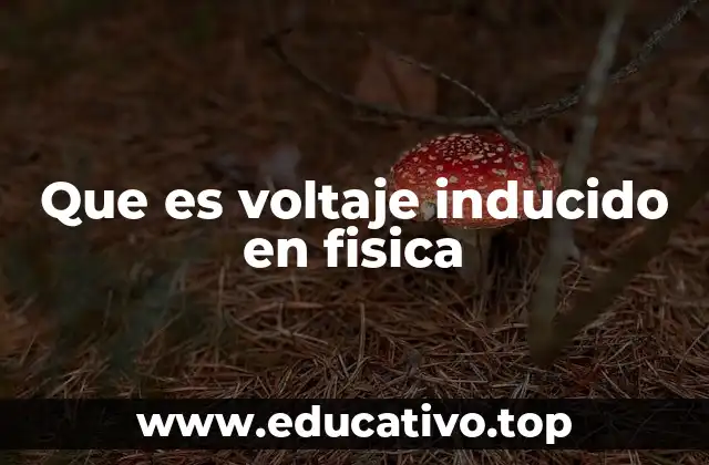 Que es voltaje inducido en fisica