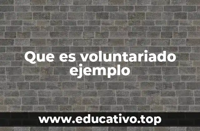 Que es voluntariado ejemplo