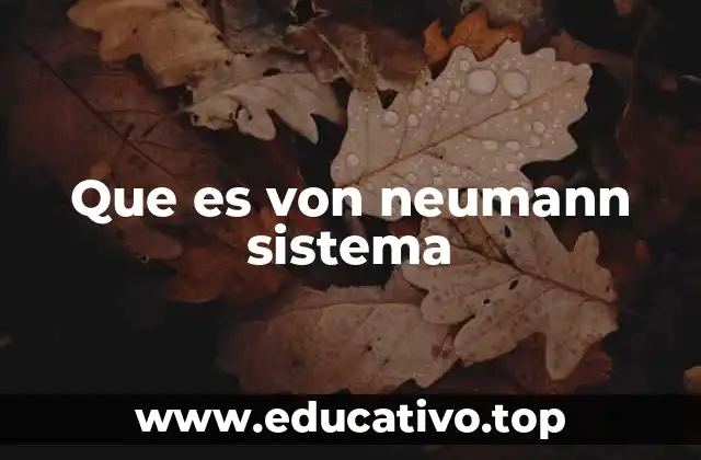 Que es von neumann sistema