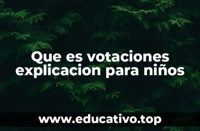 Que es votaciones explicacion para niños