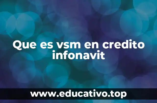 Que es vsm en credito infonavit