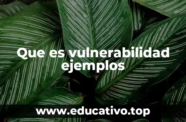 Que es vulnerabilidad ejemplos