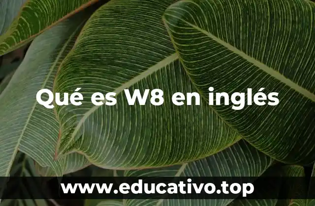 Qué es W8 en inglés