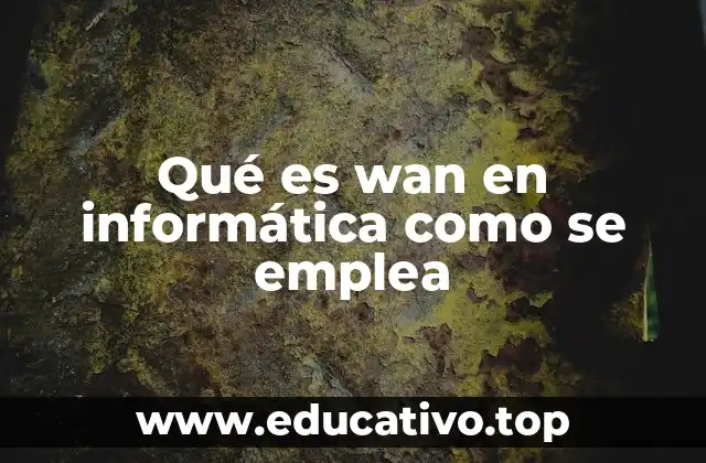 Qué es wan en informática como se emplea