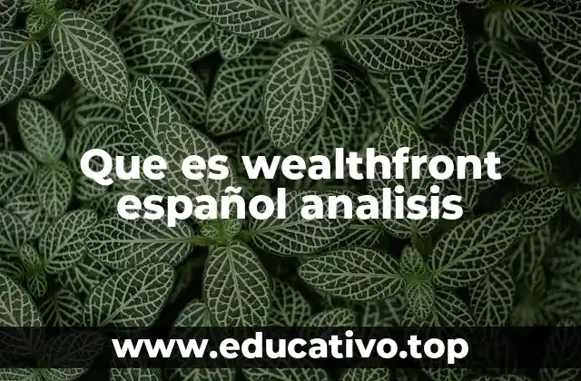 Que es wealthfront español analisis