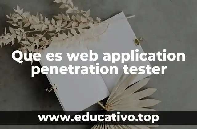 Que es web application penetration tester