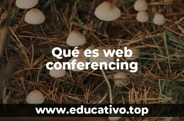 Qué es web conferencing