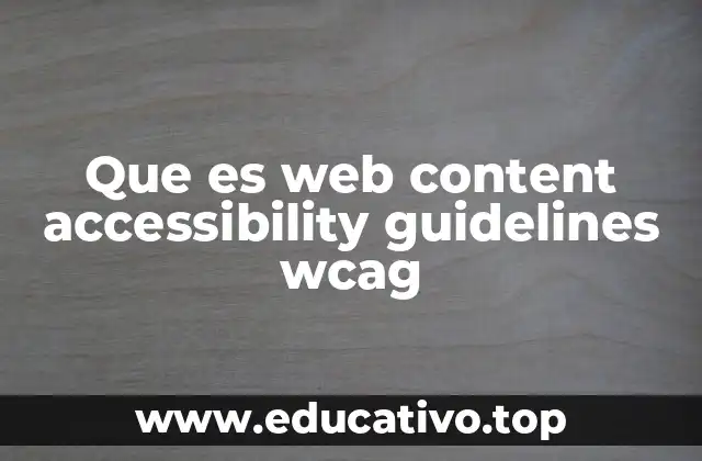 Que es web content accessibility guidelines wcag