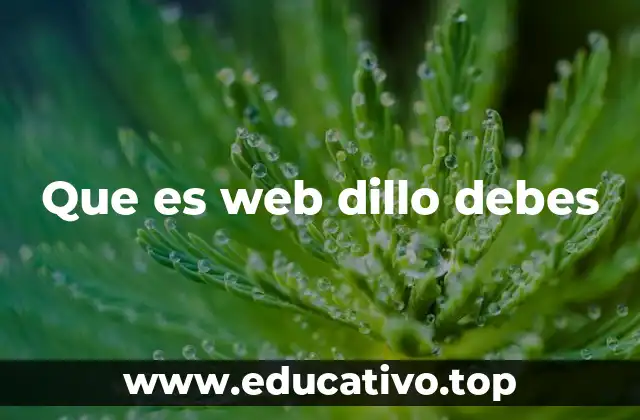 Que es web dillo debes