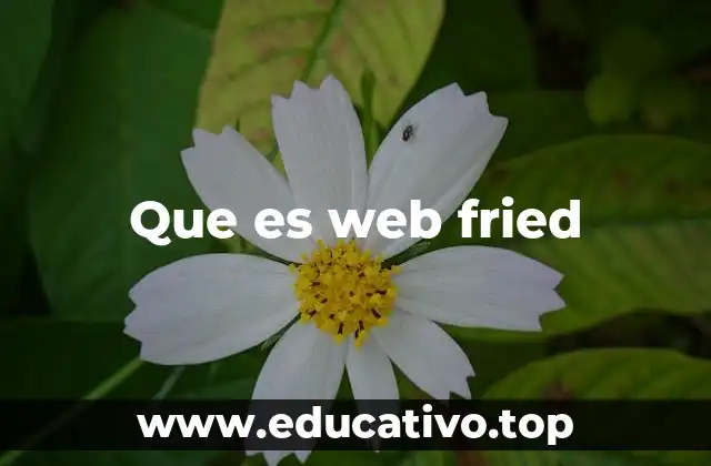 Que es web fried