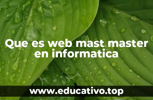 Que es web mast master en informatica