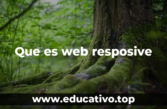 Que es web resposive