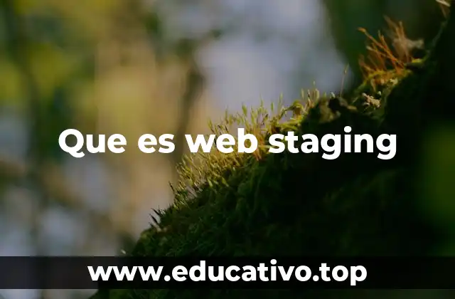 Que es web staging