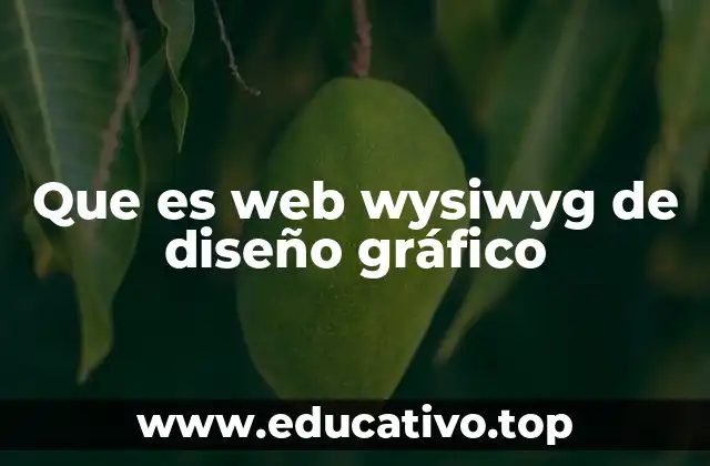 Que es web wysiwyg de diseño gráfico