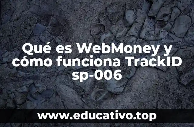 Qué es WebMoney y cómo funciona TrackID sp-006
