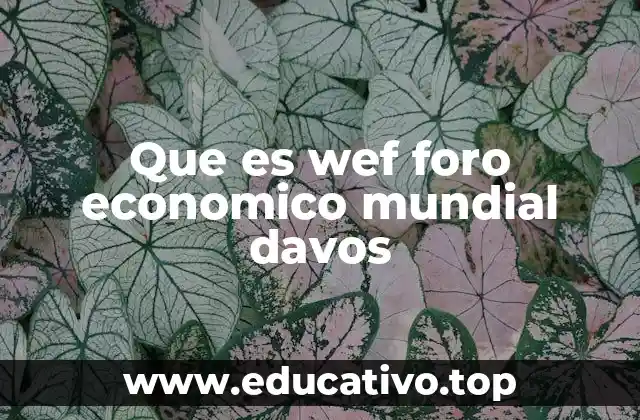 Que es wef foro economico mundial davos