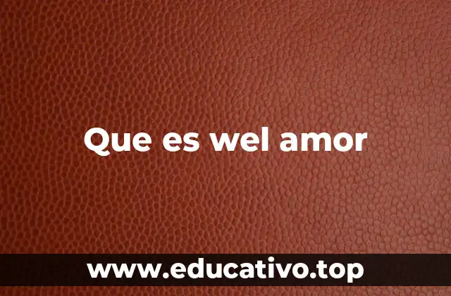 Que es wel amor