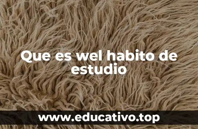 Que es wel habito de estudio