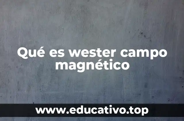 Qué es wester campo magnético