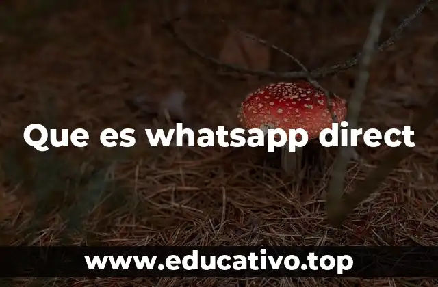 Que es whatsapp direct
