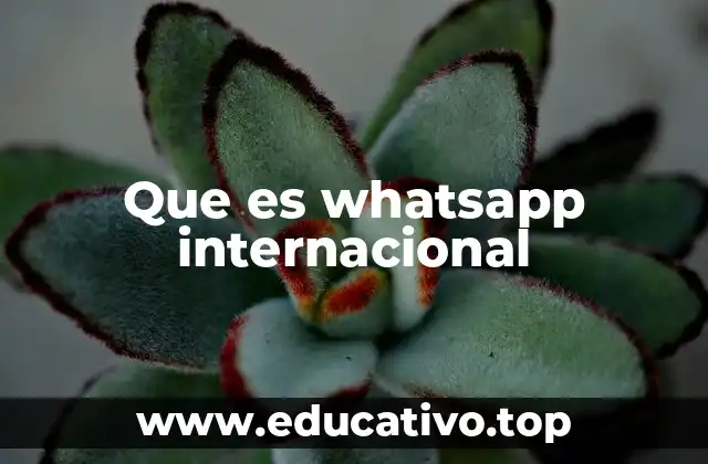 Que es whatsapp internacional