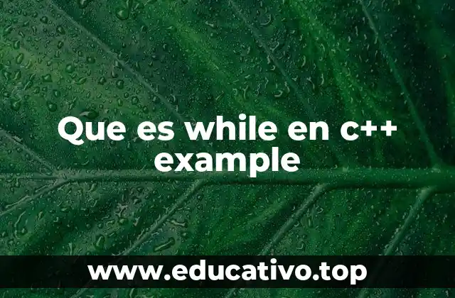 Que es while en c++ example