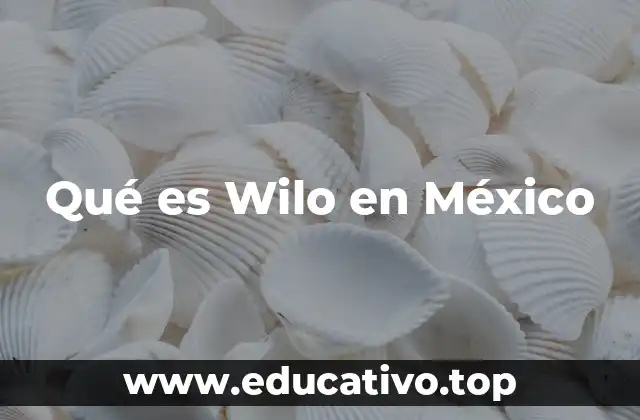 Qué es Wilo en México