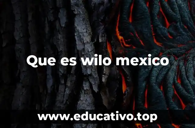 La importancia de las soluciones Wilo en el desarrollo sostenible