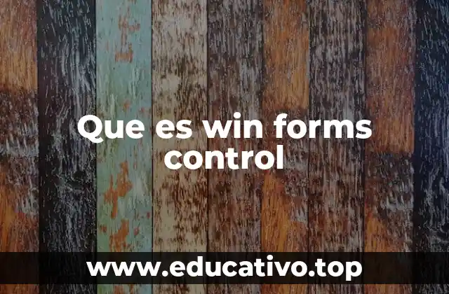 Que es win forms control