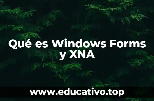 Qué es Windows Forms y XNA