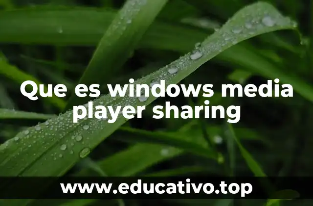Que es windows media player sharing