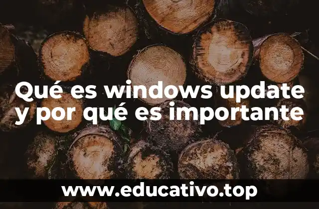 Qué es windows update y por qué es importante